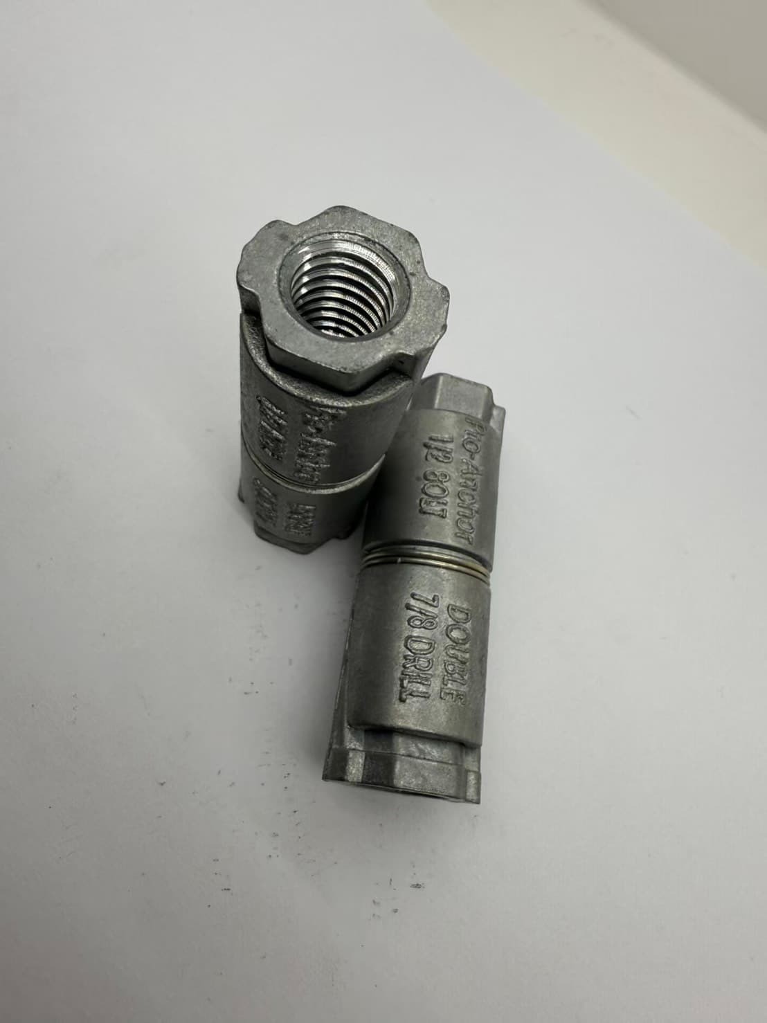 พุกตะกั่ว